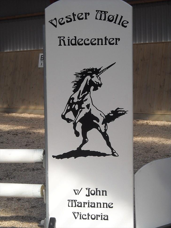 Trænings weekend på Vester Mølle  billede 1