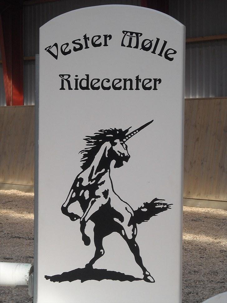 Trænings weekend på Vester Mølle  billede 14