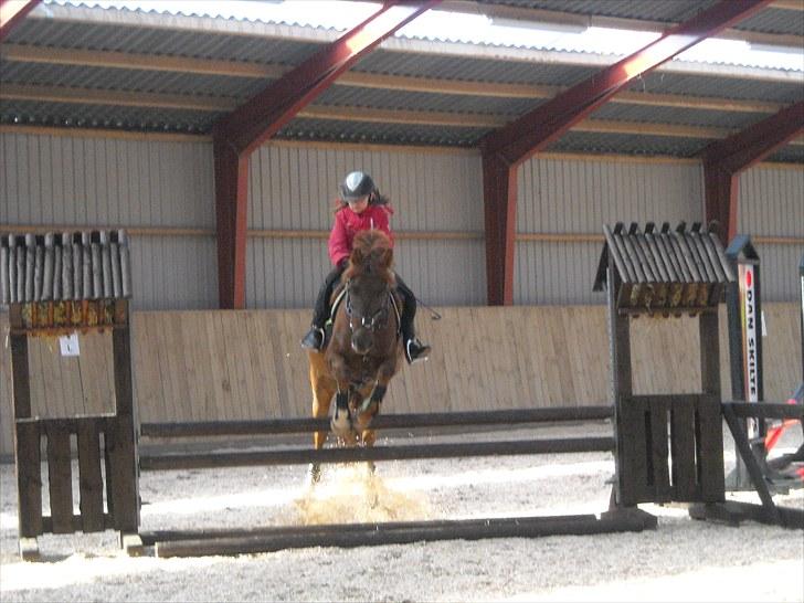 Trænings weekend på Vester Mølle  billede 16