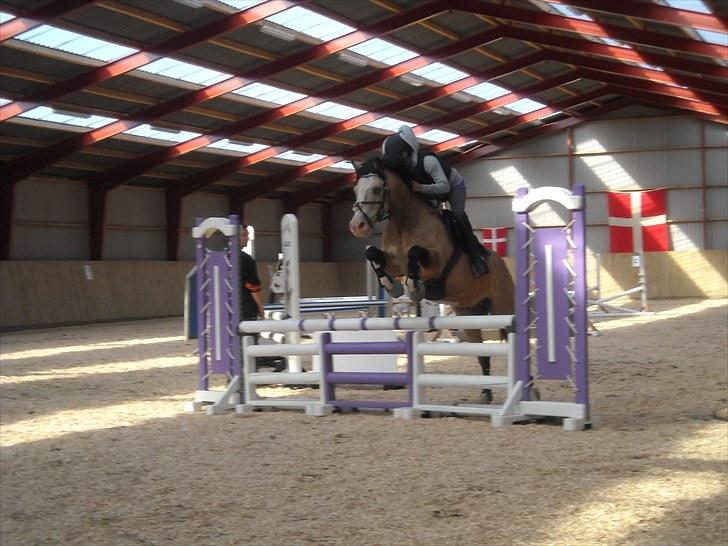 Trænings weekend på Vester Mølle  billede 17