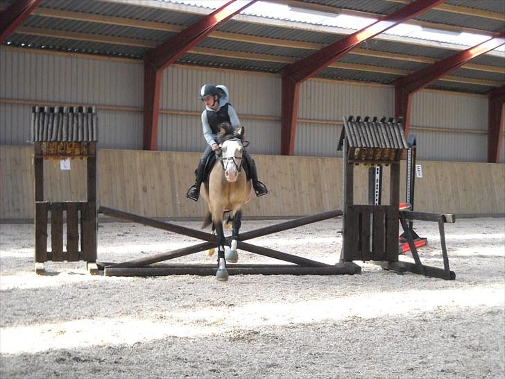 Trænings weekend på Vester Mølle  billede 19