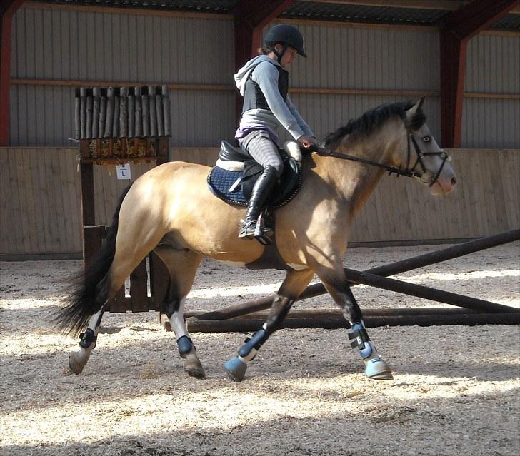 Trænings weekend på Vester Mølle  billede 20