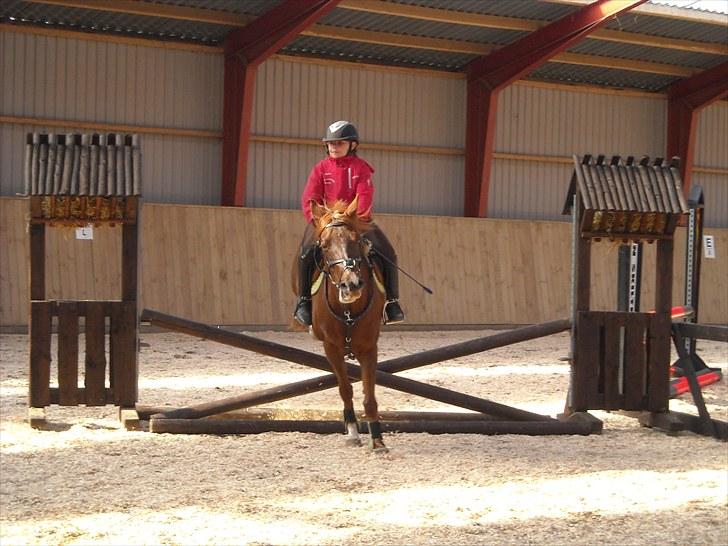 Trænings weekend på Vester Mølle  billede 21