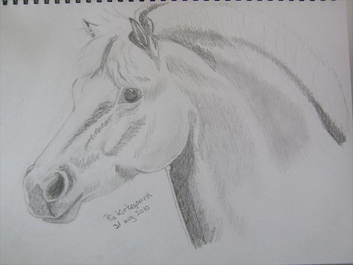 Tegninger jeg har tegnet... - Smila. Tegnet efter mit eneste gode billede af hende... billede 30