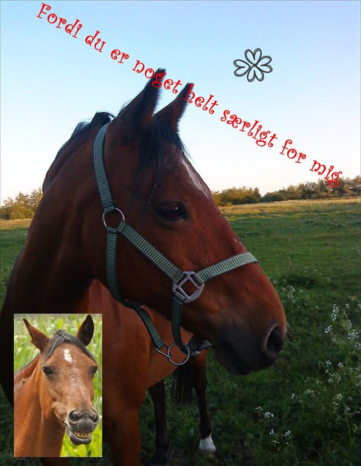 Billeder jeg har lavet  - TIl Annika 
Det er kun hende der må tage billedet billede 18