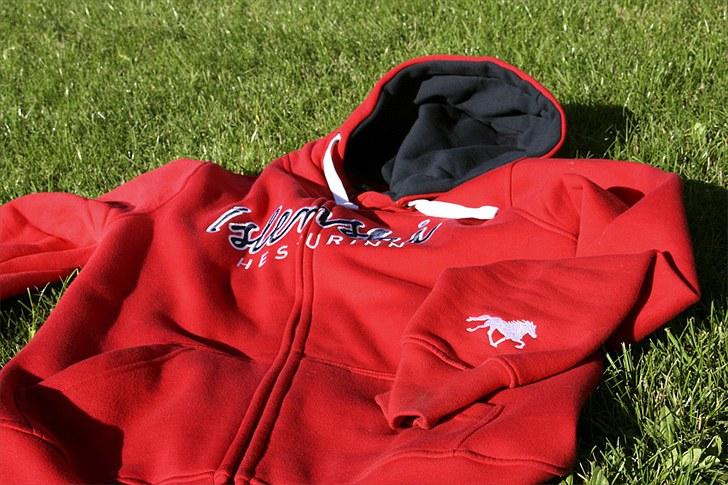 Mit udstyr - Three Lucky Swedes trøje - Hvor der står: Íslenski Hesturinn billede 1