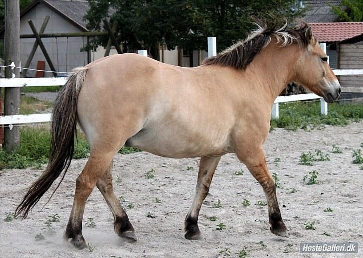 For evigt billede 23