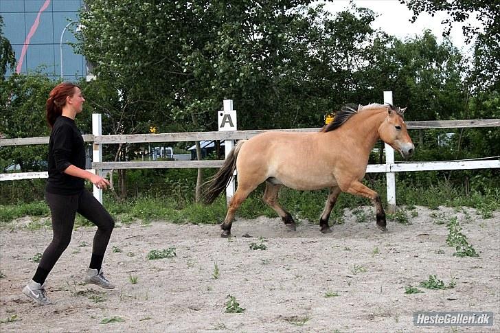 For evigt billede 31