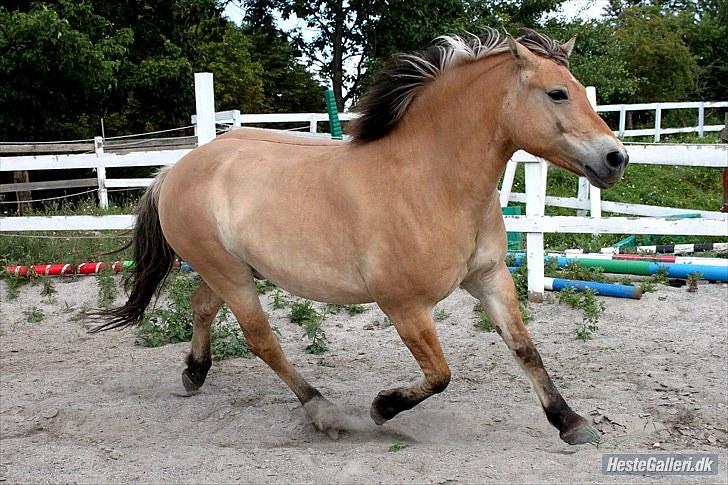 For evigt billede 32