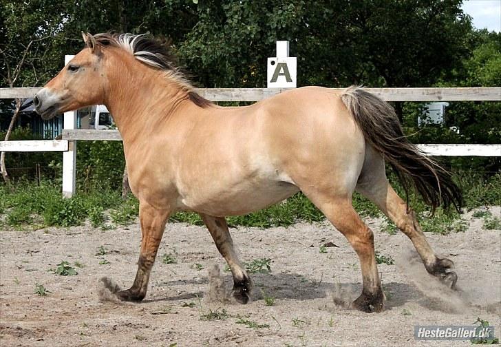 For evigt billede 45