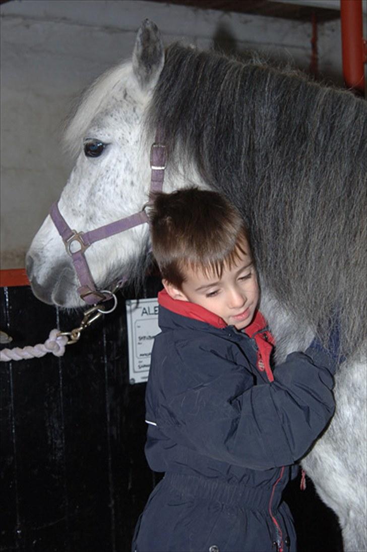 Fifi og føller Chili - - Så rolig en pony billede 7