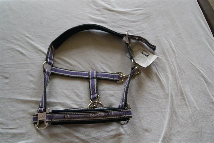 Natrons udstyr - Eskadron grime. Lavender. Str. pony. billede 22