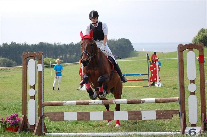 Fredrik og jeg til stævne, mols rideklub d.15 aug 2010 billede 1