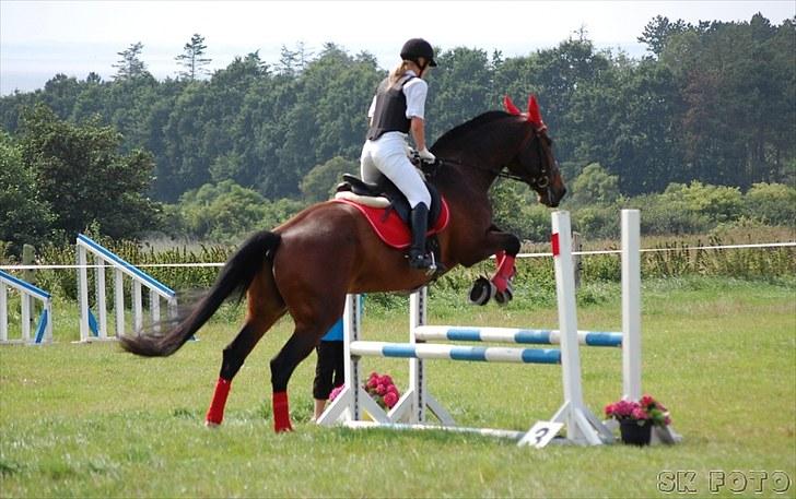 Fredrik og jeg til stævne, mols rideklub d.15 aug 2010 billede 3