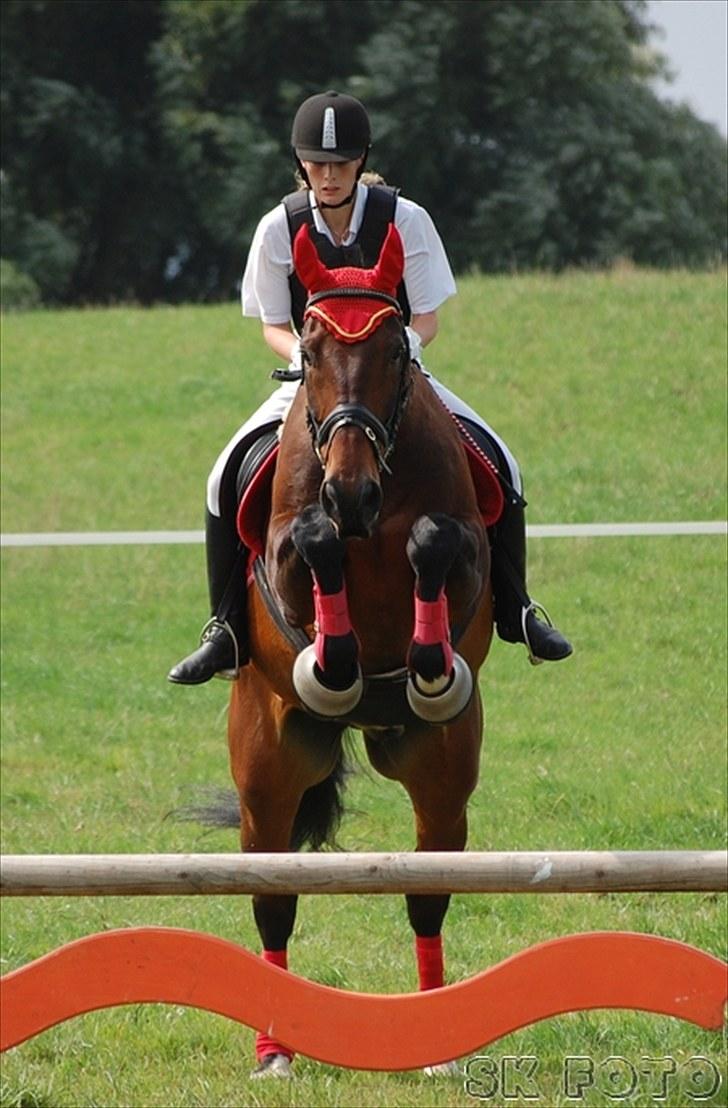 Fredrik og jeg til stævne, mols rideklub d.15 aug 2010 billede 6