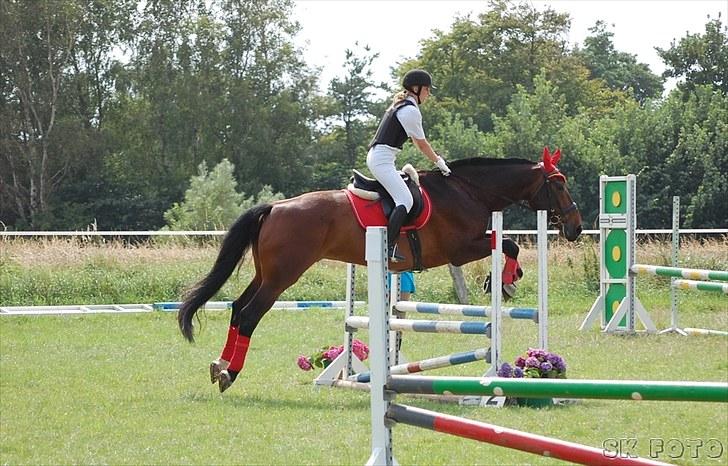 Fredrik og jeg til stævne, mols rideklub d.15 aug 2010 billede 9