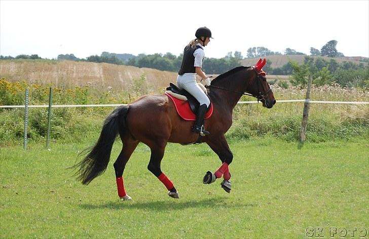 Fredrik og jeg til stævne, mols rideklub d.15 aug 2010 billede 10
