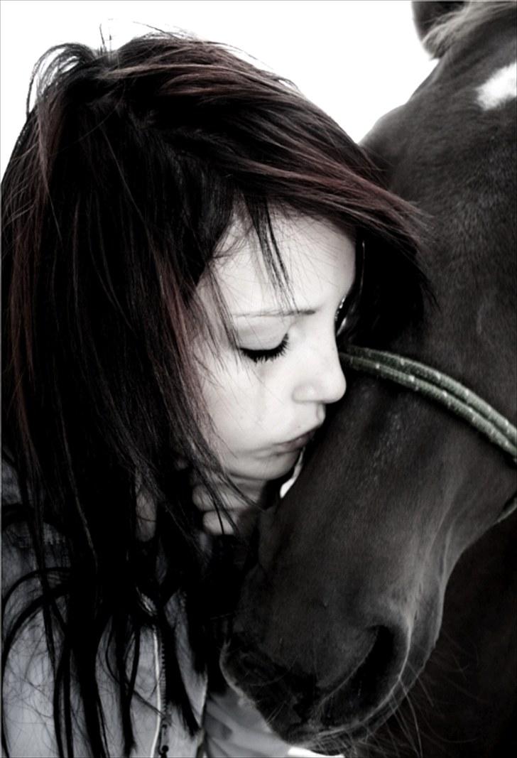 Sofie Andersen - opdateret 18-12-2012 billede 22