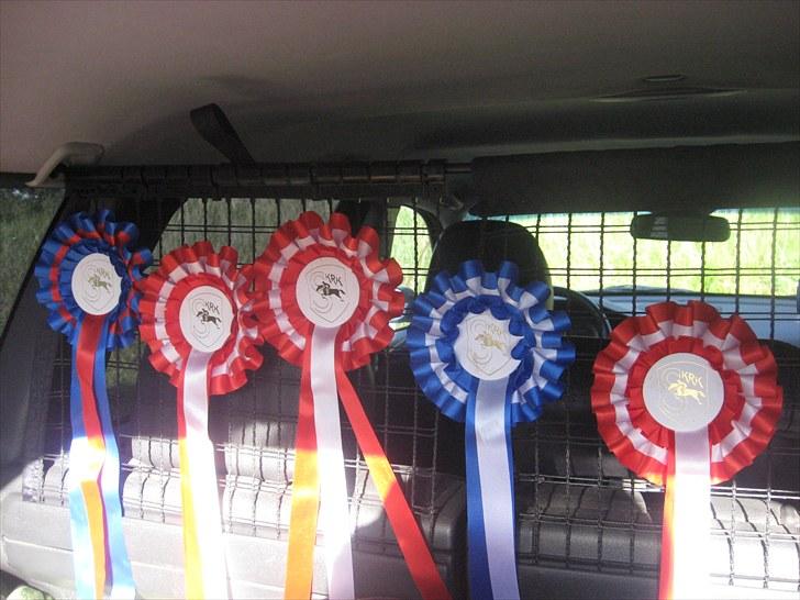 Lucky - Mine resultater fra Skive Rideklub D. 4/9 2010
U-LX og LE på Malhøj´s Tarzan
LD på Lucky
LC på Limelight
LB på Malhøj´s Freja billede 87