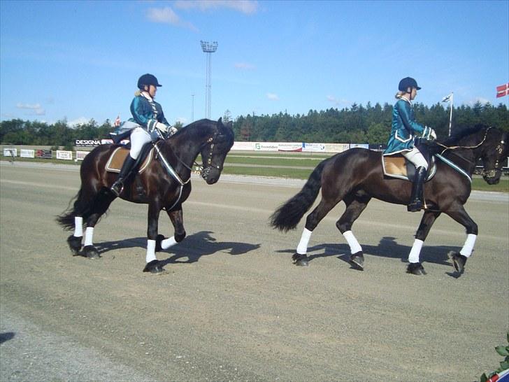 Skive travbane billede 1