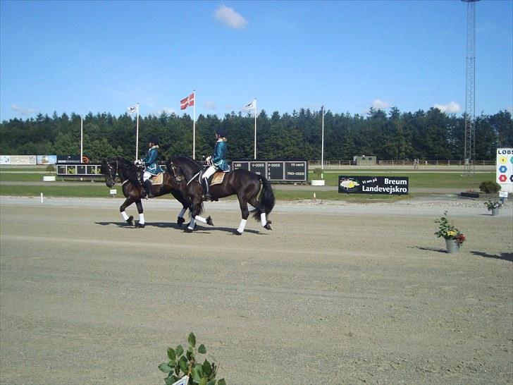 Skive travbane billede 2