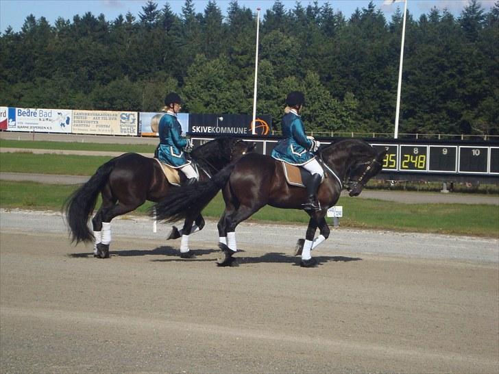 Skive travbane billede 3