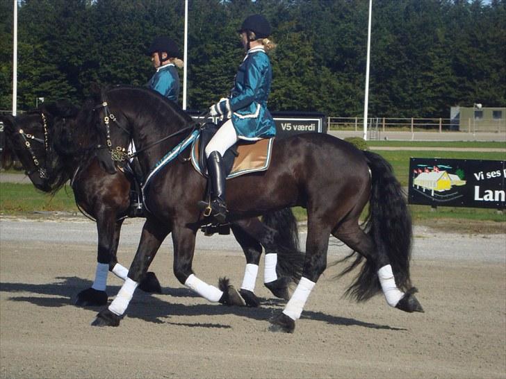 Skive travbane billede 4