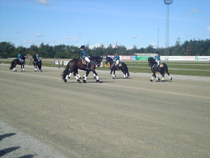 Skive travbane billede 6