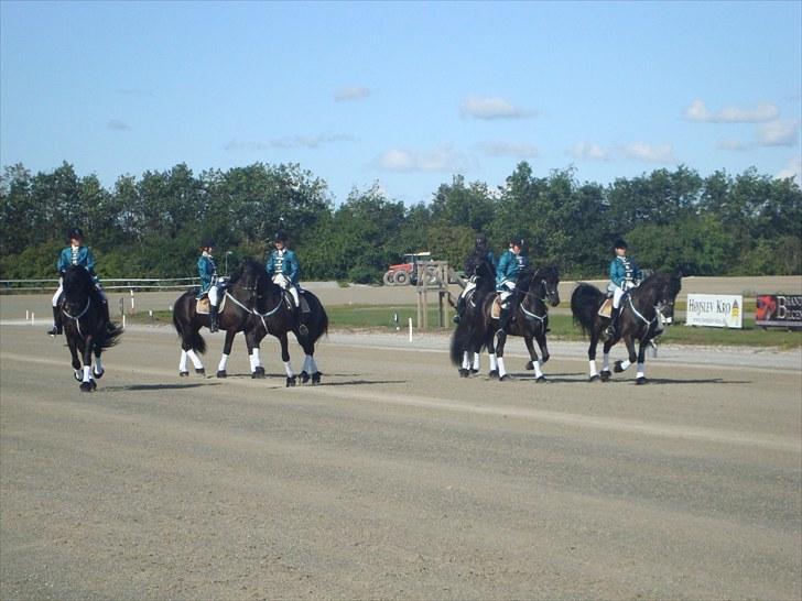 Skive travbane billede 7