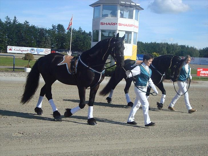 Skive travbane billede 9