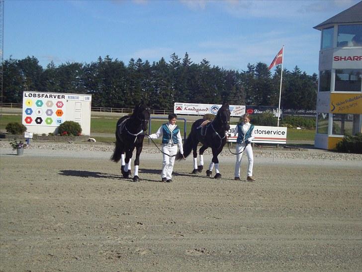 Skive travbane billede 10