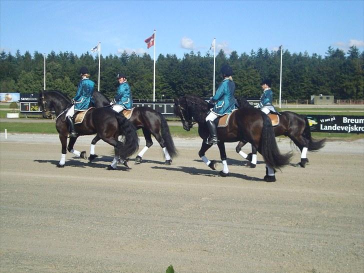 Skive travbane billede 11