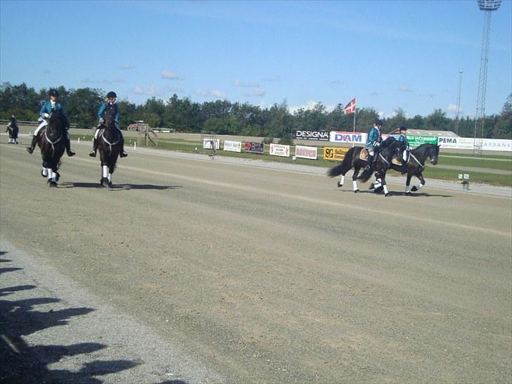 Skive travbane billede 12