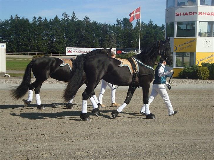 Skive travbane billede 13