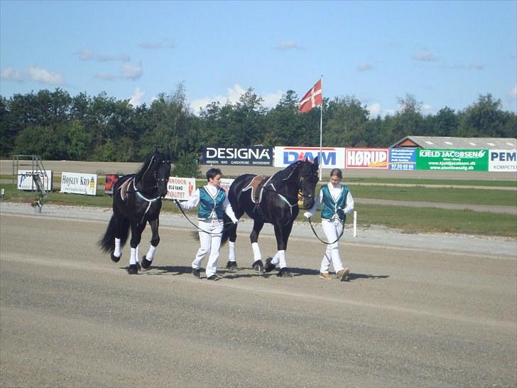 Skive travbane billede 15