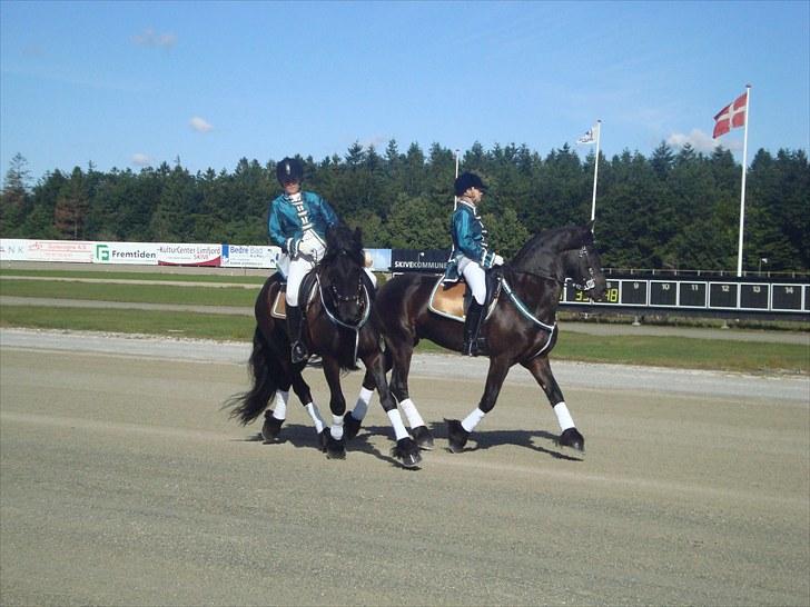 Skive travbane billede 16