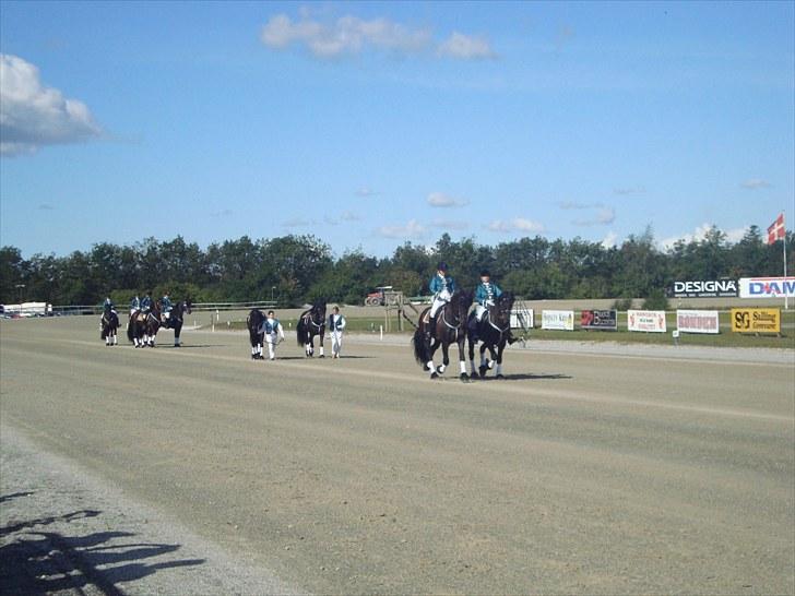 Skive travbane billede 17