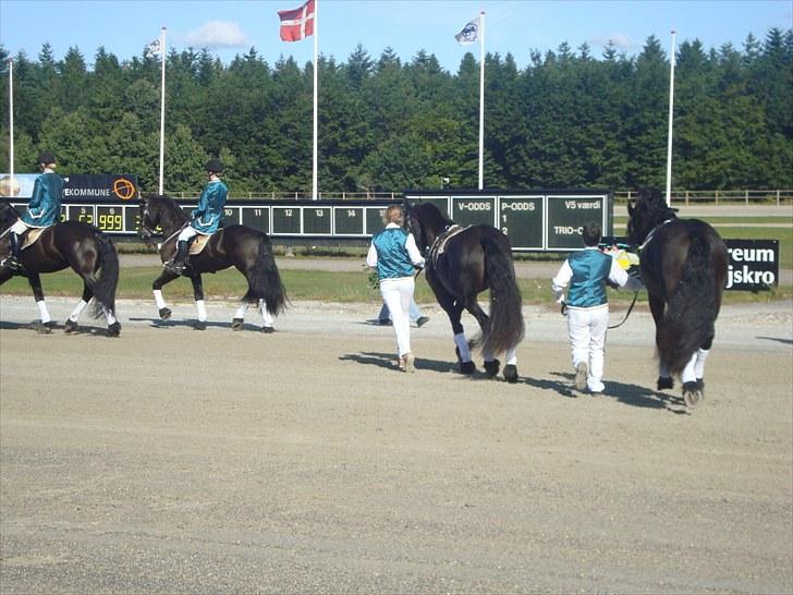 Skive travbane billede 22