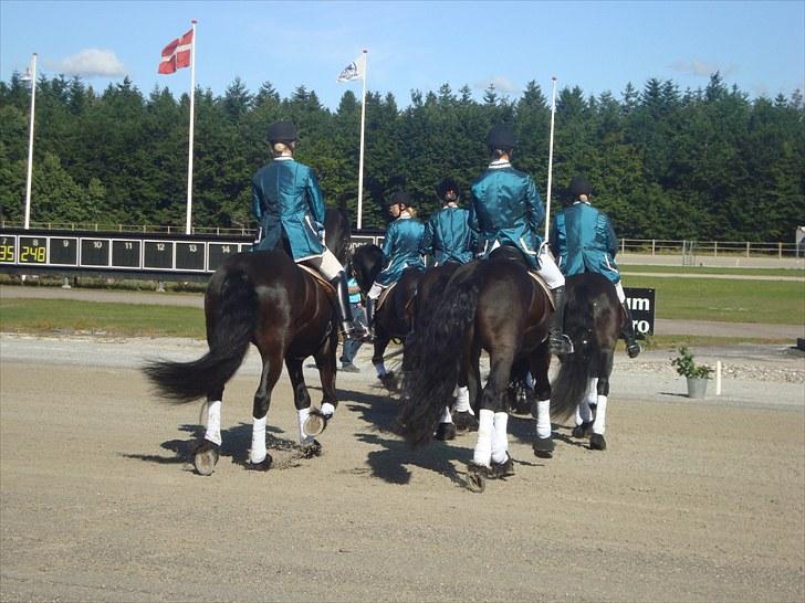 Skive travbane billede 23