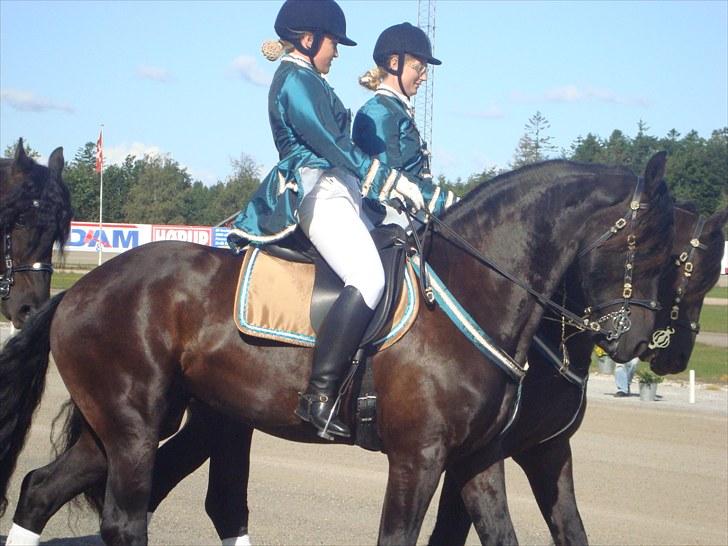 Skive travbane billede 24