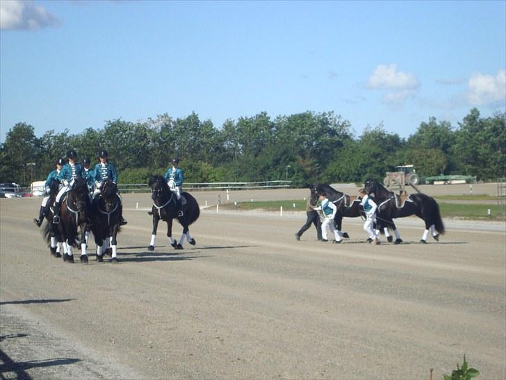 Skive travbane billede 26