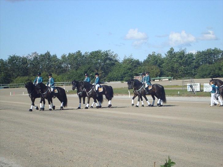 Skive travbane billede 27