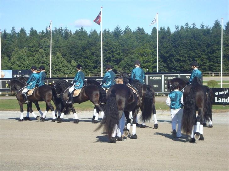 Skive travbane billede 29