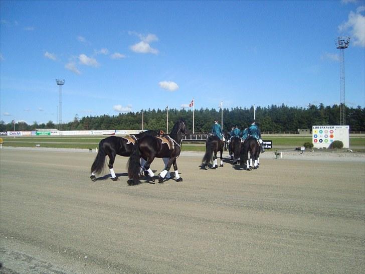 Skive travbane billede 30