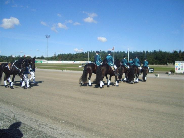 Skive travbane billede 31