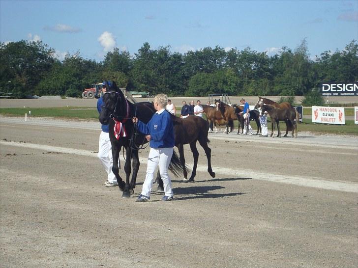 Skive travbane billede 36