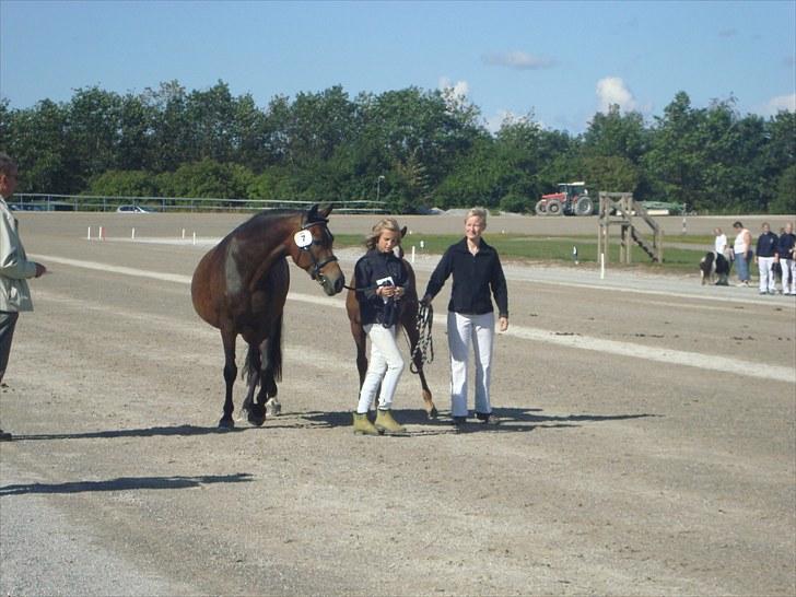 Skive travbane billede 41