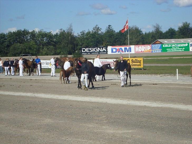 Skive travbane billede 44