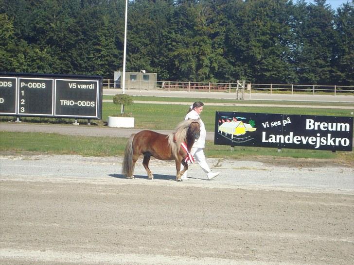 Skive travbane billede 53