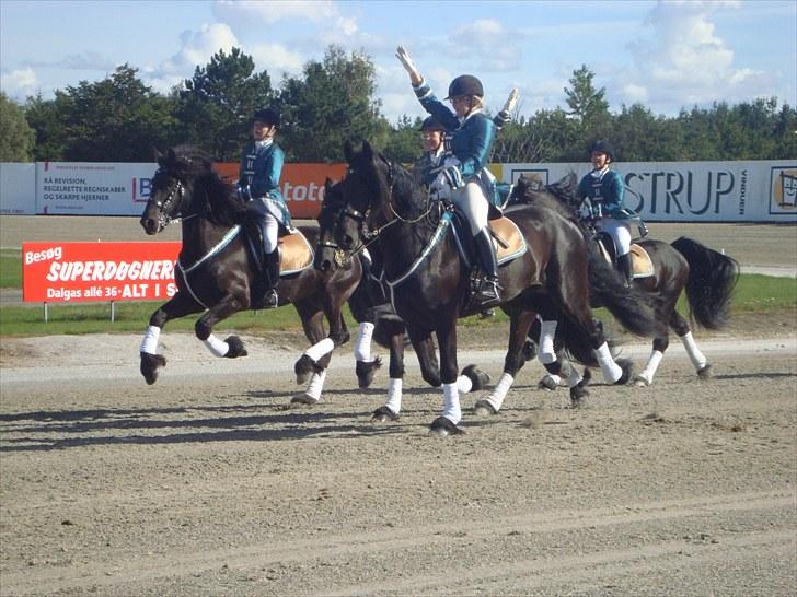 Skive travbane billede 58